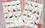 Животные на английском языке с переводом Английский карточки животные распечатать